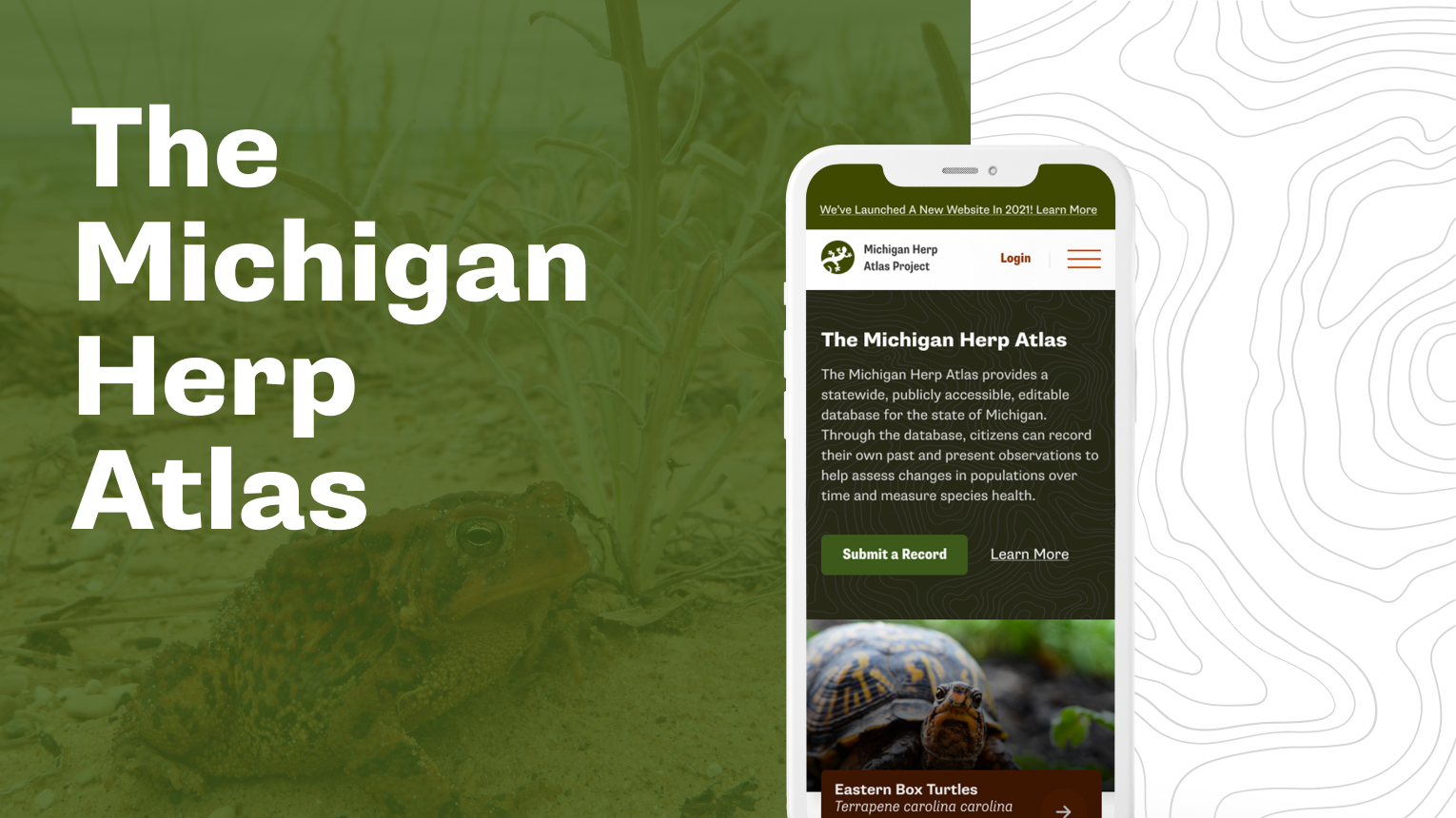 The Michigan Herp Atlas Portfolio Item